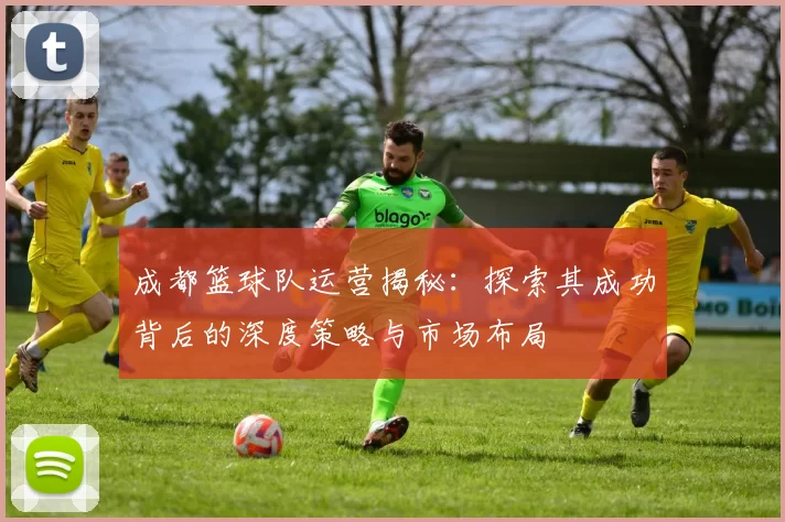 成都篮球队运营揭秘：探索其成功背后的深度策略与市场布局