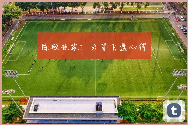 陈敏独家：分享飞盘心得