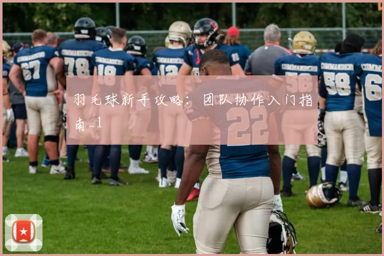 羽毛球新手攻略：团队协作入门指南_1